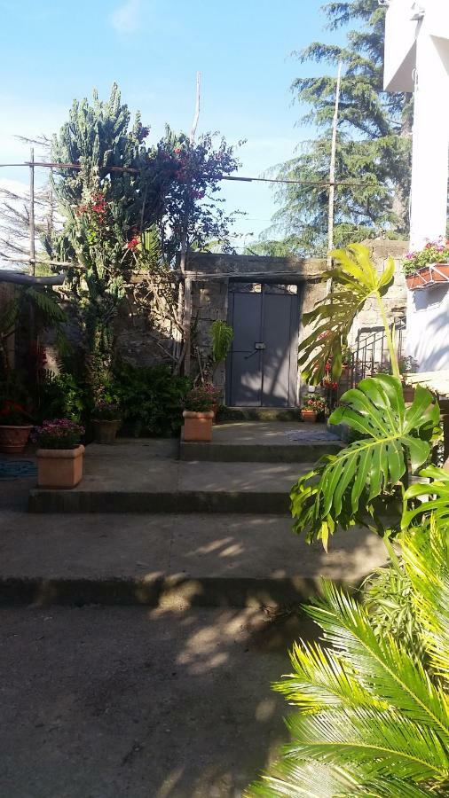 سورينتو Casa Carolina B&B المظهر الخارجي الصورة