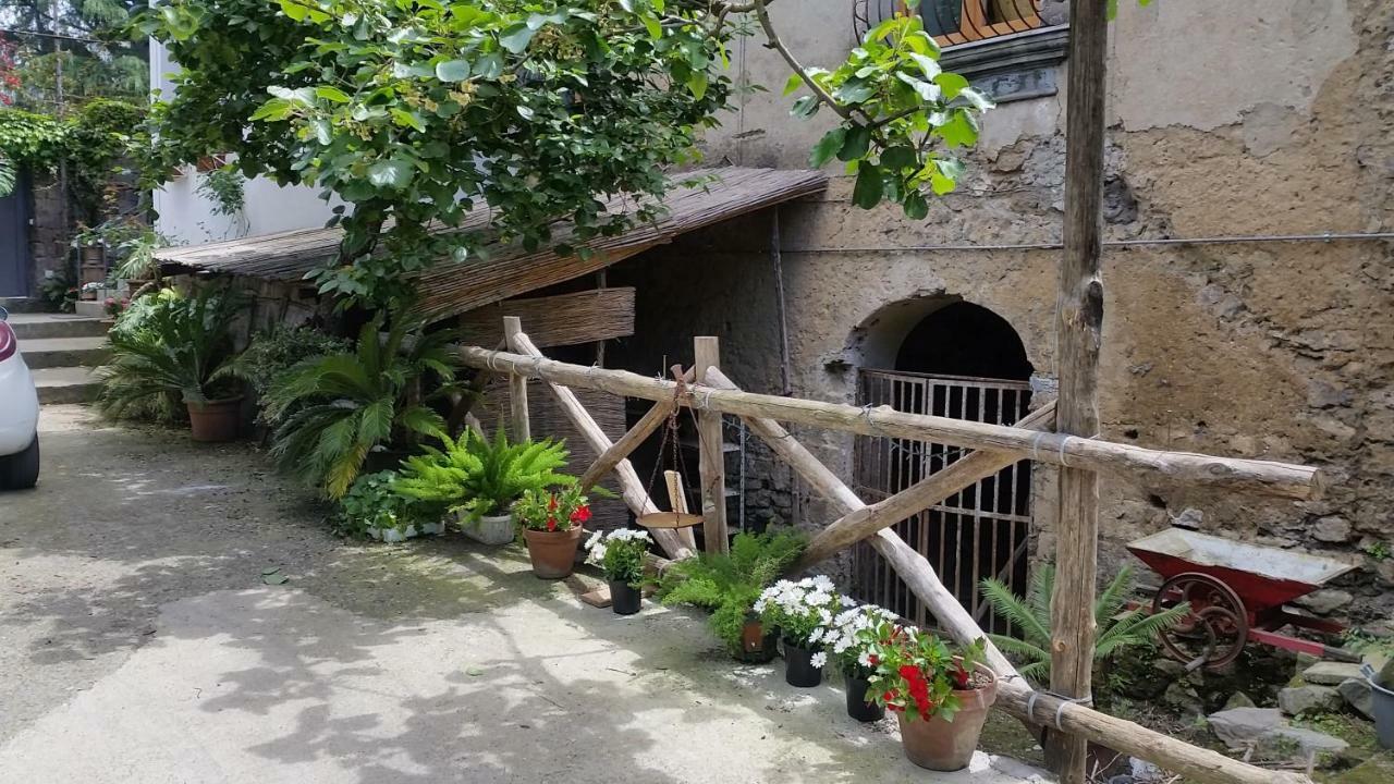 سورينتو Casa Carolina B&B المظهر الخارجي الصورة