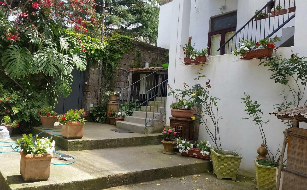 سورينتو Casa Carolina B&B المظهر الخارجي الصورة